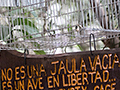 Empty Bird Cage, Jardin de los Picaflores, Puerto Iguaz�, Argentina